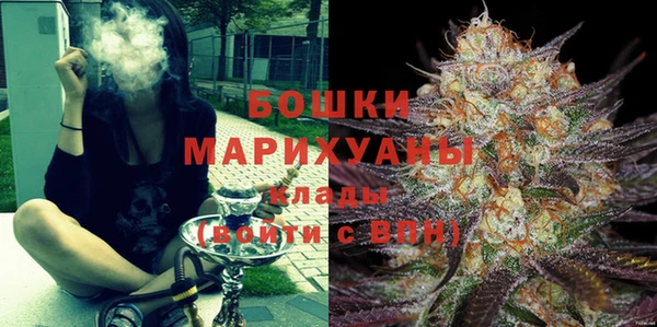скорость Вяземский
