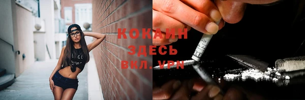 PSILOCYBIN Абдулино