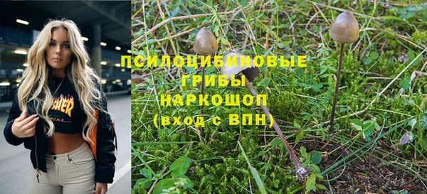 PSILOCYBIN Абаза
