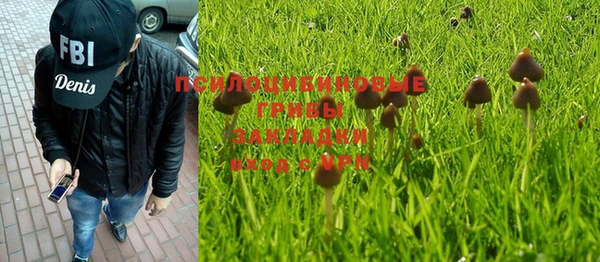 PSILOCYBIN Абаза